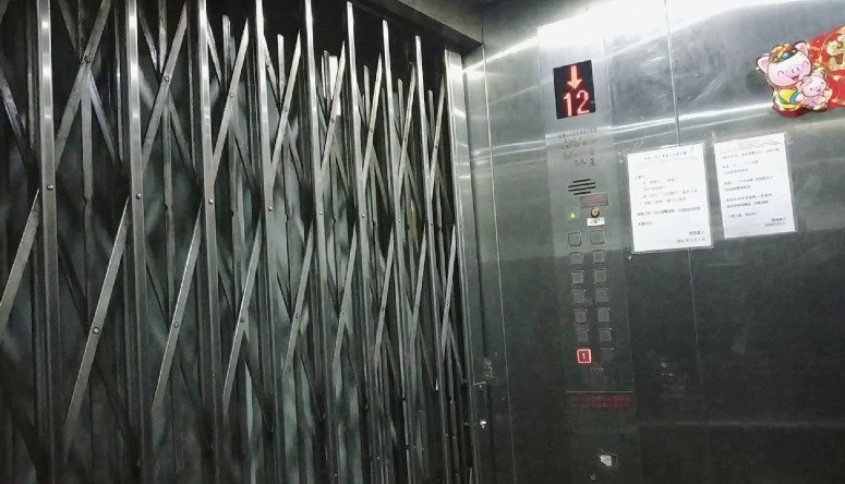 Зовнішні подвійні двері з ножичними воротами